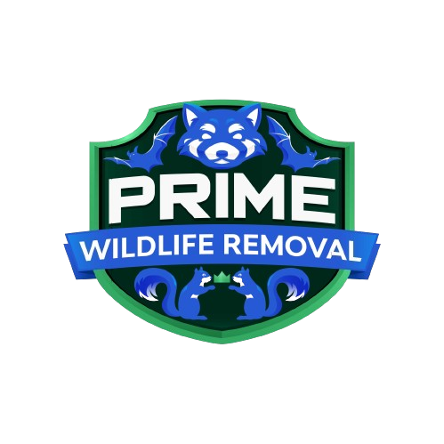 Wildlife Removal Monroe County